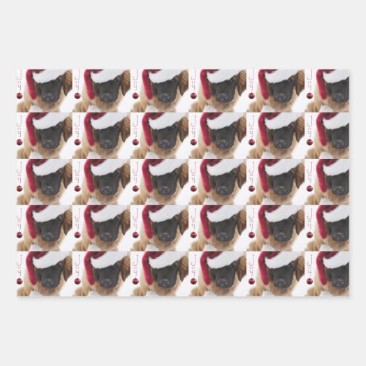 レオンバーガー品種 ラッピングペーパーシート (正面)