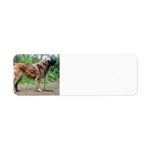 レオンバーガー満杯の ラベル (正面)