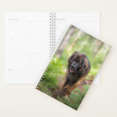 レオンベルガー プランナー手帳 (ディスプレー)