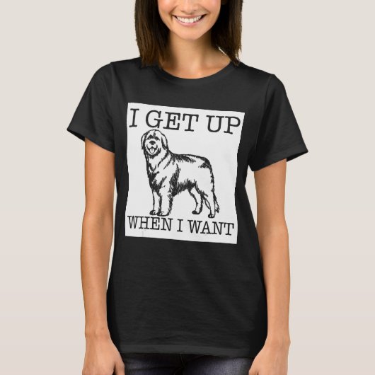 レオンベルガー 犬 1 Tシャツ (正面)