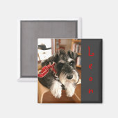 レオン磁石B マグネット (正面/裏面)