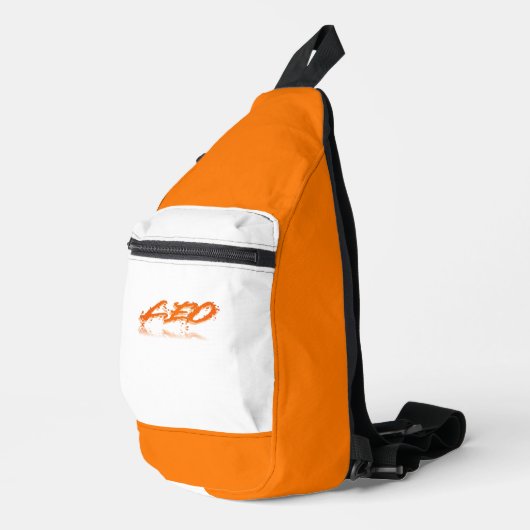 レオ反射 スリングバッグ (右コーナー)