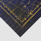 レオ小星座ティッシュペーパー 薄葉紙 (詳細)