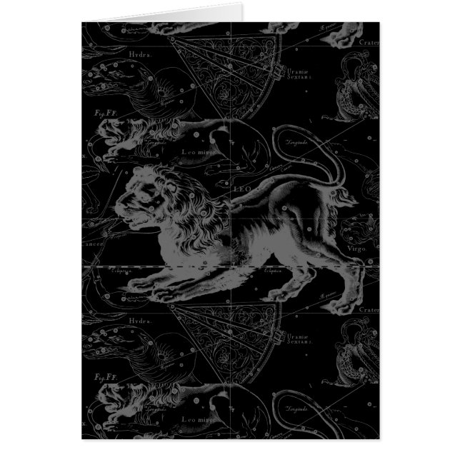 レオ星座ヘベリアス1690デコール (正面)