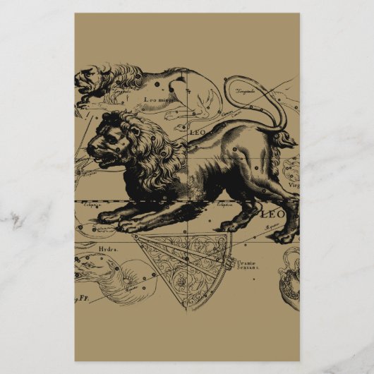 レオ星座ヘベリアス1690年7月23日威厳がある- 22 チラシ (正面)