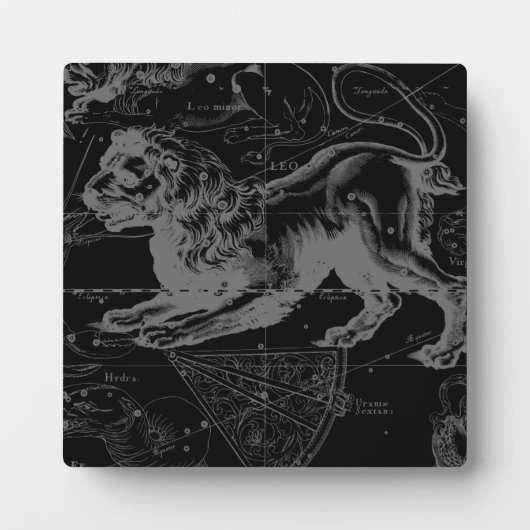 レオ星座ヘベリアス1690年7月23日威厳がある- 22 フォトプラーク (正面)