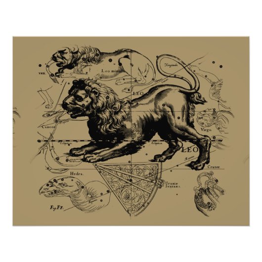 レオ星座ヘベリアス1690年7月23 威厳がある 22日 フォトプリント            (正面)