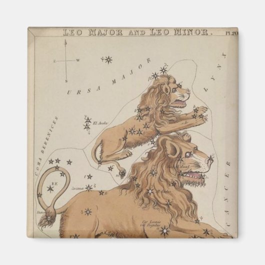 レオ磁石 マグネット (正面)