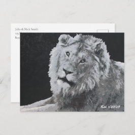 レオ、アフリカライオン、動物 ポストカード