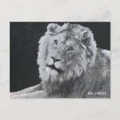 レオ、アフリカライオン、動物 ポストカード (正面)