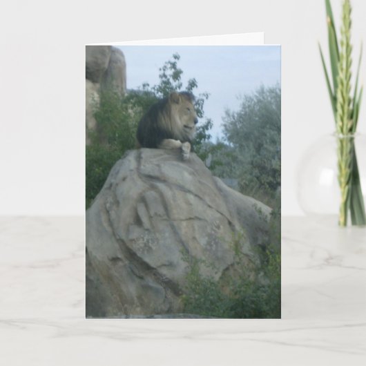 レオ カード (正面)