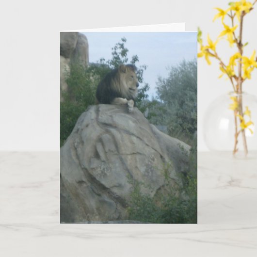 レオ カード (黄色い花)