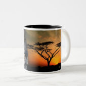 レオ ツートーンマグカップ (正面右)