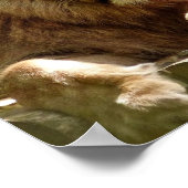 レオ ポスター (角)