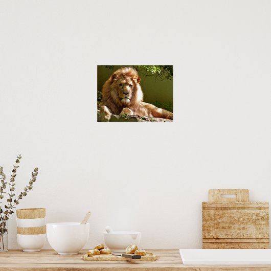 レオ ポスター (キッチン)