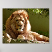 レオ ポスター (正面)