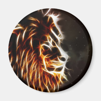 レオ マグネット