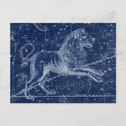 レオ〔占星術の〕十二宮図サインヴィンテージイラストレーション ポストカード (正面)