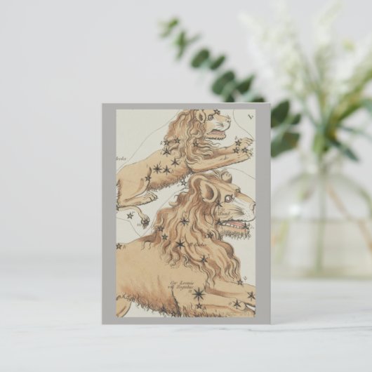 レオ〔占星術の〕十二宮図標識 ポストカード (スタンド正面)