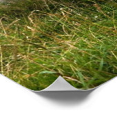 レガナニードルメンプリント ポスター (角)