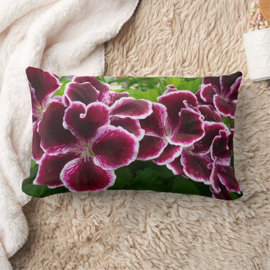 レガルゼラニウムフラワーズマエレガントルーンフローラルガ ランバークッション (ブランケット)