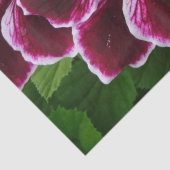 レガルゼラニウムフラワーズマエレガントルーンフローラルガ 薄葉紙 (詳細)