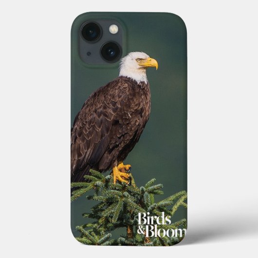 レガルバルドイーグル Case-Mate iPhoneケース (裏面)