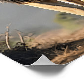 レガルライオン：サバンナの王 ポスター (角)