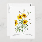 レガンス属 ポストカード (正面/裏面)