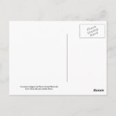 レガンス属 ポストカード (裏面)