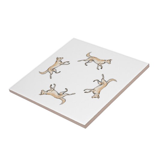 レキシトロット   タイル (側面)