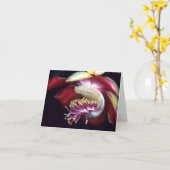 レキチダ科:クルーピータ・ギアナンシス カード (黄色い花)