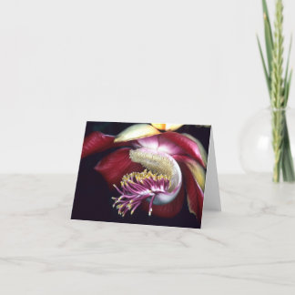 レキチダ科：クルーピータ・ギアナンシス カード