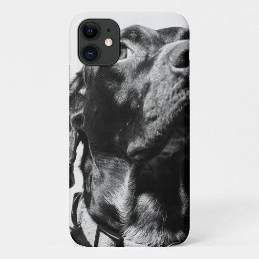 レギュラーボードッグ Case-Mate iPhoneケース (裏面)