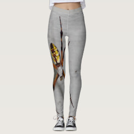 レギンス上の実際のSpider写真イメージ レギンス