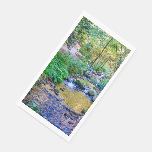 レゴダアルメンテイラ (コーナー)