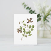 レザーイタリアンフラワー（クレマティス）by Redoute ポストカード (スタンド正面)