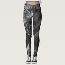 レザージャケットの遊エレキギターの猫