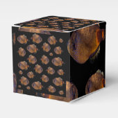 レザージャケットフィッシュ、ギフト特典ボックス フェイバーボックス (正面サイド)