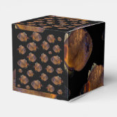 レザージャケットフィッシュ、ギフト特典ボックス フェイバーボックス (裏面サイド)