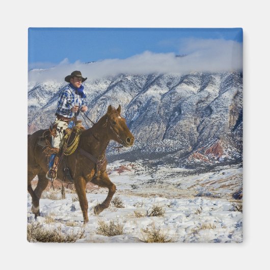 レザーチャップを着た馬のカウボーイ マグネット (正面)