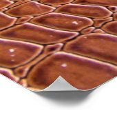 レザーテクスチャbackgroundtexture，アート，背景，b ポスター (角)