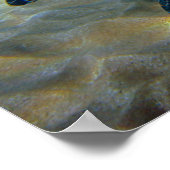 レザーネックシーカメプリント ポスター (角)