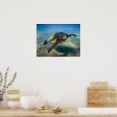 レザーネックシーカメプリント ポスター (キッチン)