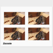 レザーブラウンケースのヴィンテージアナログカメラ 長方形シール (シート)