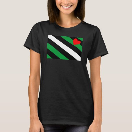レザーボイ プライド フラッグ Tシャツ (正面)