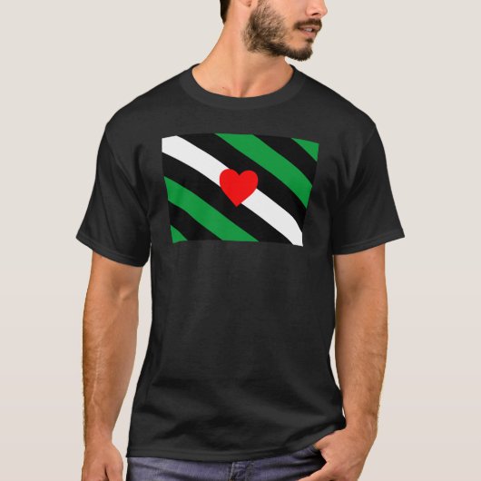 レザーボイ プライド フラッグ Tシャツ (正面)