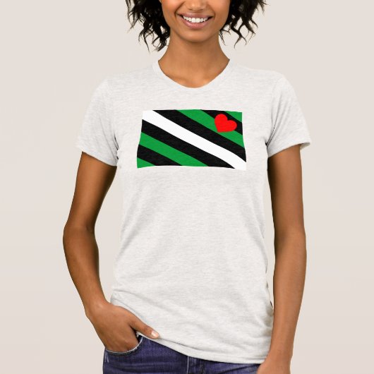 レザーボイ プライド フラッグ Tシャツ (正面)