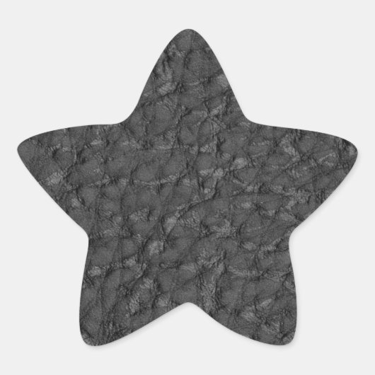 レザールックテクスチャ 星シール (正面)