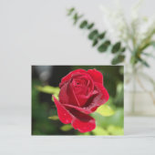 レシピカードチョコレートチップピーナッツバタークッキー ポストカード (スタンド正面)